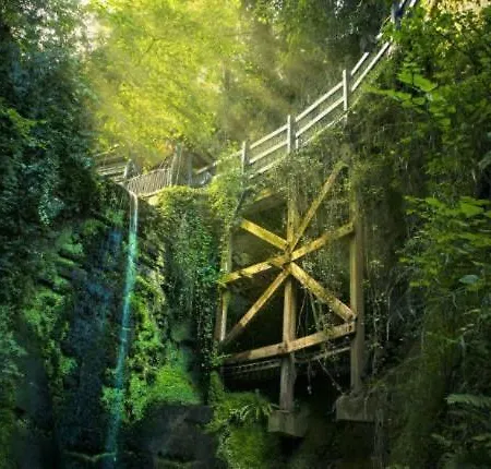 Little Treasure With Up To 25 Percent Off Ferry *