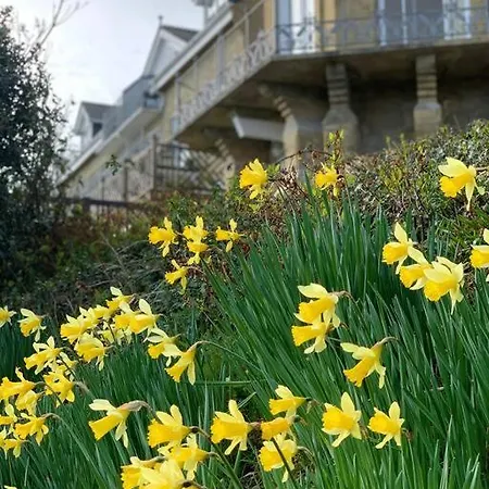 1 Bed - Sea View