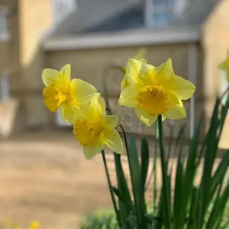 1 Bed - Sea View * Shanklin