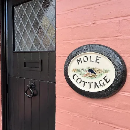 Mole Holiday home *
