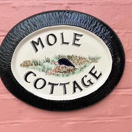 Holiday home Mole