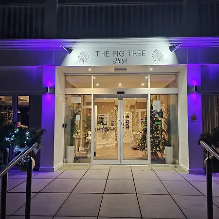 Hotel The Fig Tree Shanklin