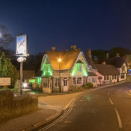Gurnard At The Aqua Shanklin