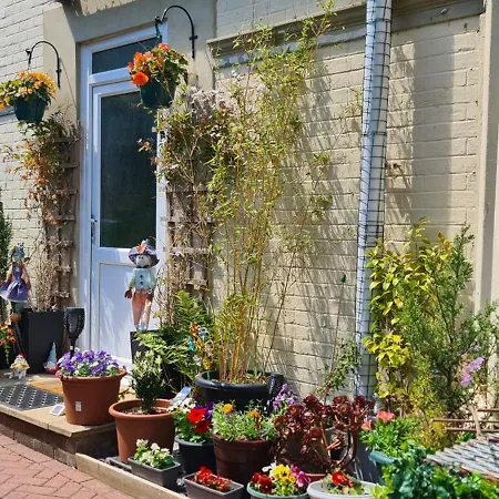 Beach Cottage Apartment Shanklin