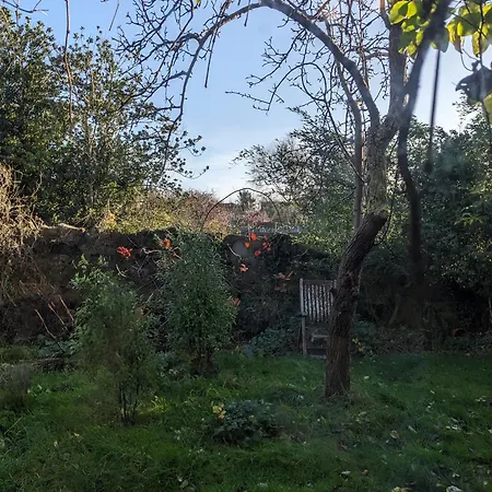 Isle Of Yoga Garden Flat Shanklin