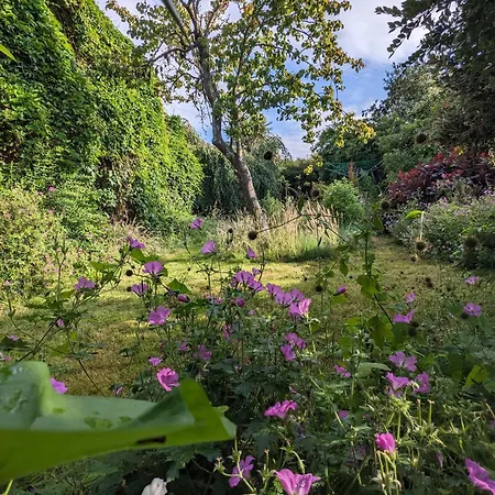 Isle Of Yoga Garden Flat Apartment Shanklin