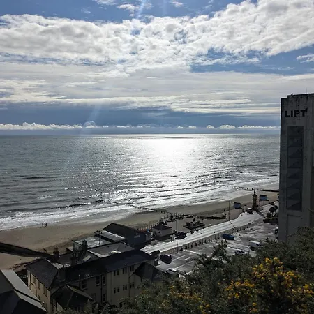 Isle Of Yoga Garden Flat Shanklin