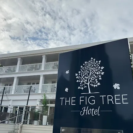 The Fig Tree * Shanklin