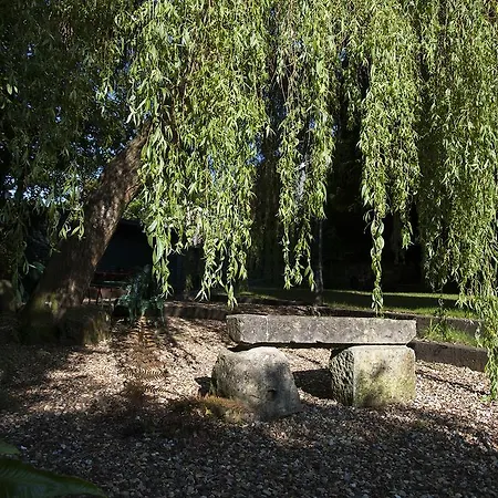 Foxhills Of 5* Shanklin