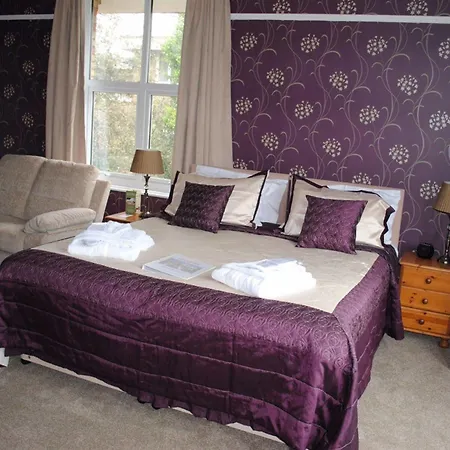 The Belmont Shanklin