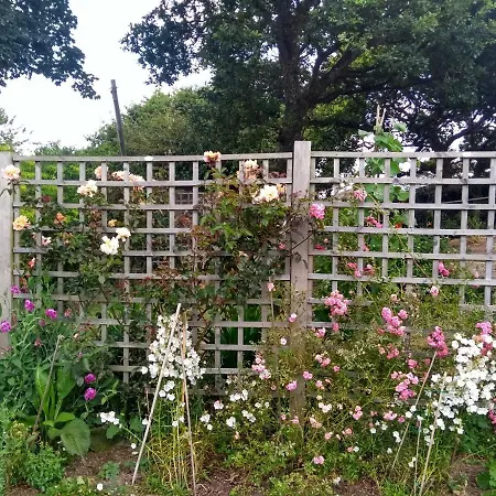 Bed & Breakfast Rosemary 4*